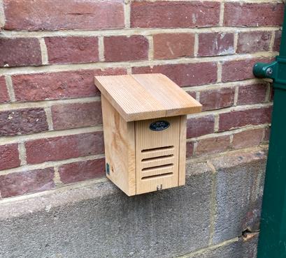 Ladybird box and planted beds at the frontage